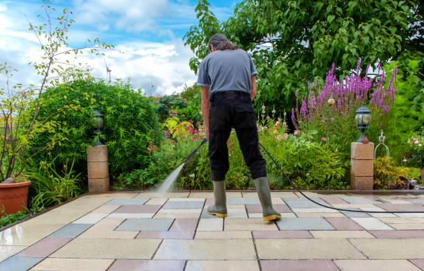 Trusted Valley Grande, AL Pressure Washing Services Experts